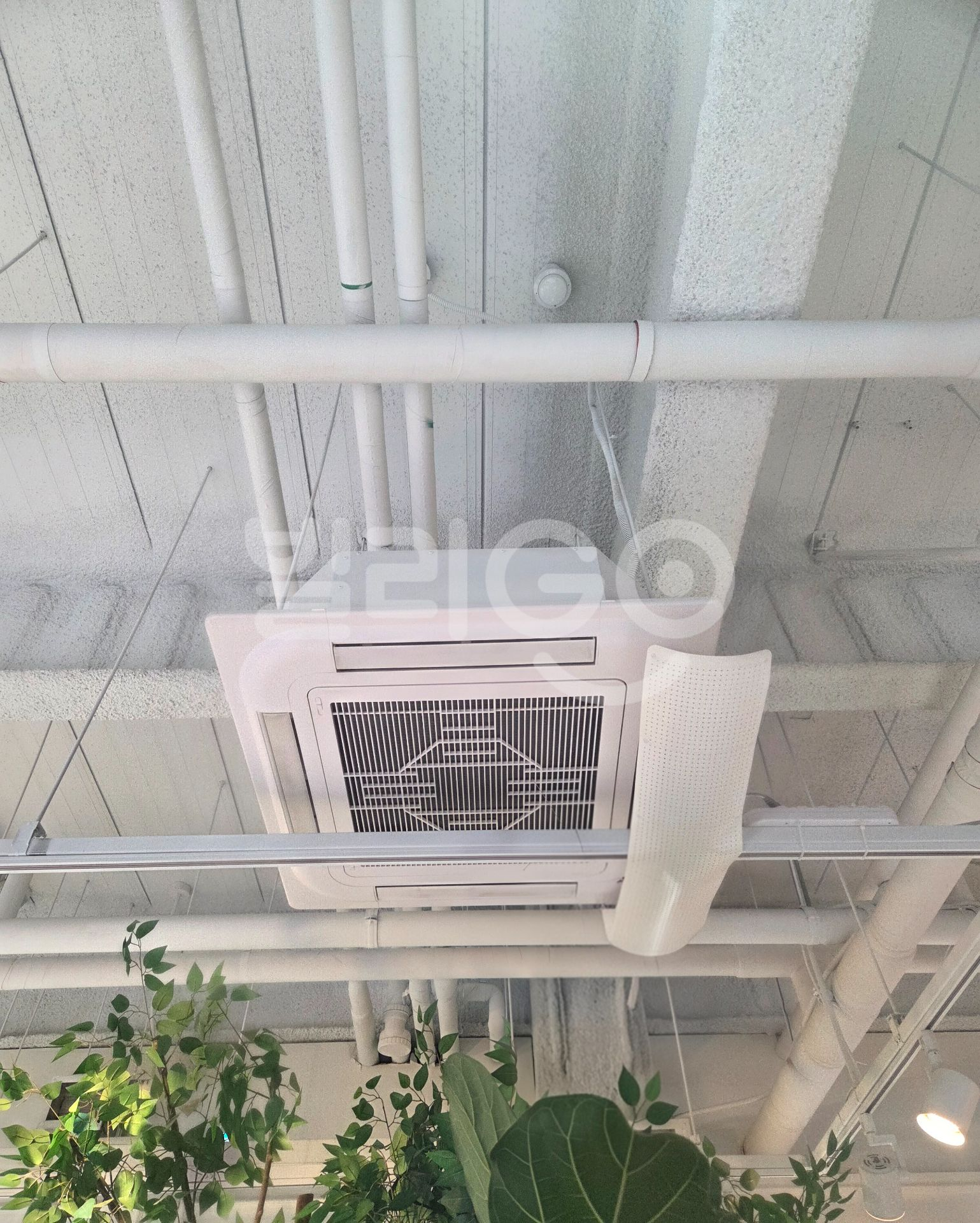 포토 리뷰 이미지