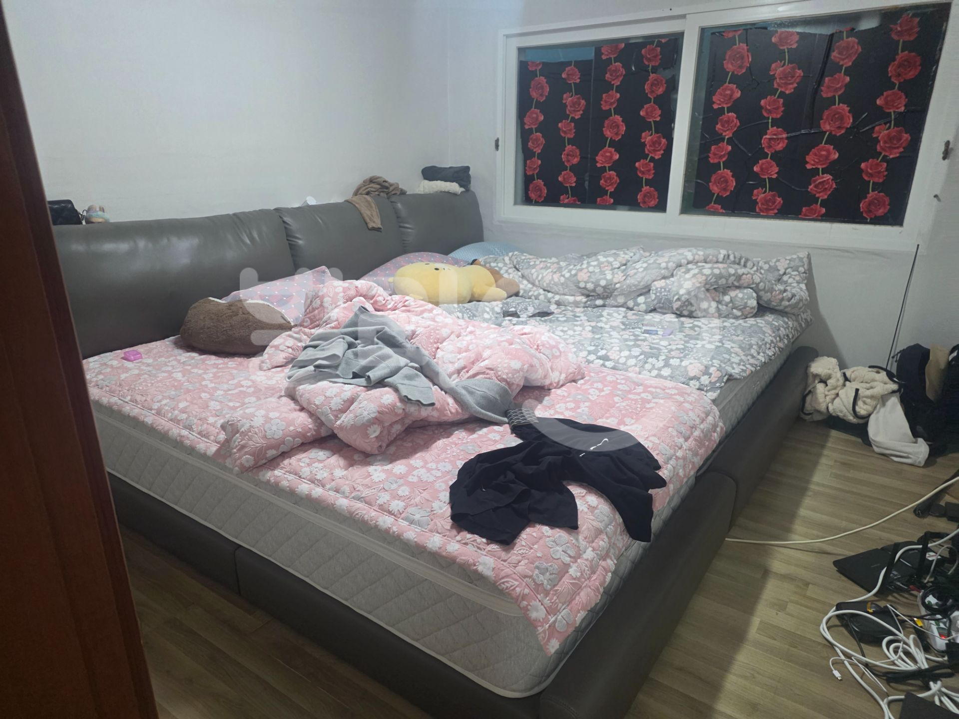 포토 리뷰 이미지