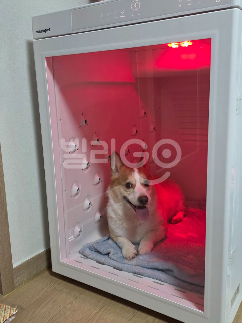 포토 리뷰 이미지